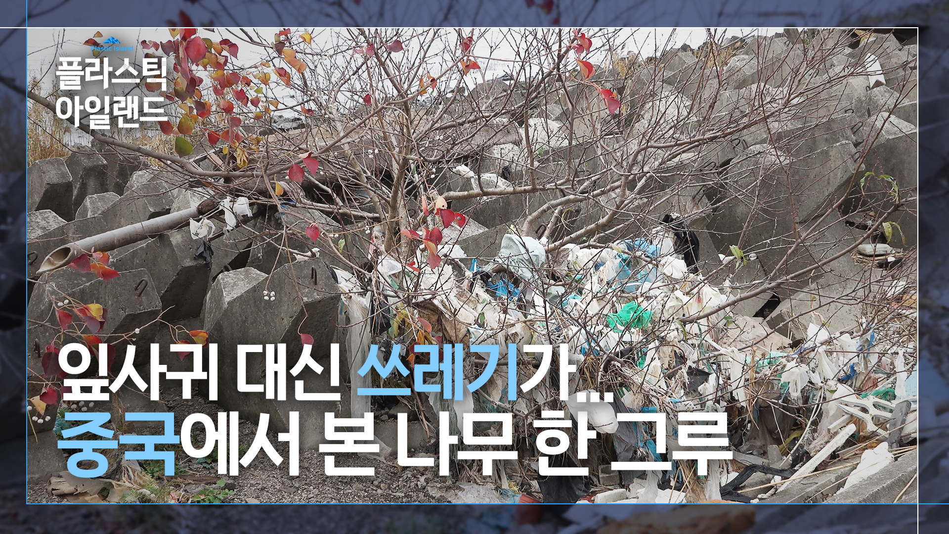 2140톤 쓰레기를 15억 주고 사는 전남…신안 섬마을의 사연
