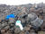 하와이 빅아일랜드 카울라나만 인근 해변에 찢어진 용기, 어망 등 플라스틱 쓰레기가 널부러져 있다. 둥그스름한 돌틈 사이에도 플라스틱 쓰레기가 숨겨져 있다. 하와이 빅아일랜드=김민욱 기자