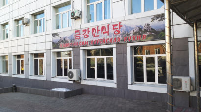 "중·러, 안보리 대북제재 일부 해제 요구…남북 철도사업 포함"