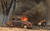 시드니 남서 방향 150km의 발모랄 지역의 화재. 산불을 피하지 못한 자동차가 불타고 있다. [AFP=연합뉴스]