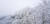 설경으로 유명한 태백산 장군봉과 천제단도 눈 내릴 때 탐방이 가능하다. 지난 4월 밤사이 내린 눈으로 뒤덮인 태백산. [사진 태백산공원사무소]