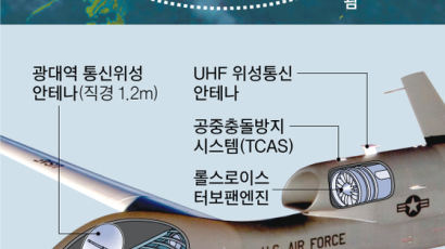 3000km 밖 30cm 물체 잡아낸다, 한국 온 글로벌호크 1호