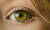 코와 가장 가까이 있는 눈. [사진 pixabay]