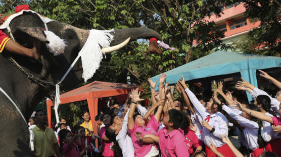 인구 94% 불교 믿는 태국에 나타난 '코끼리 산타' 
