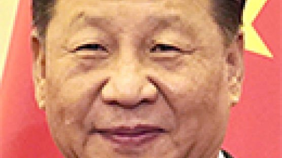 청와대 “시진핑 내년 상반기 방한 확정적”…성사되면 6년 만