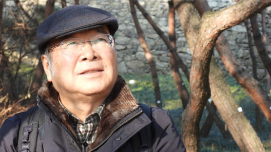 방치된 서울 남산 숲…"못생긴 소나무조차도 점점 사라져"