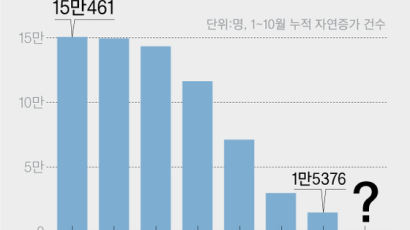 10월 인구 증가율 첫 0%…인구 이제부턴 내리막