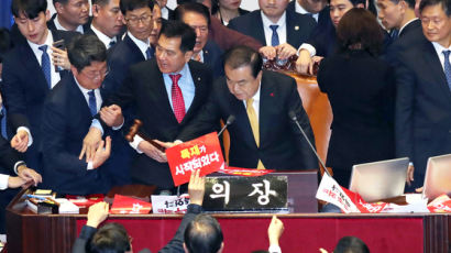 "문희상 법위반""한국당 폭력"···고발전 번지는 국회 몸싸움