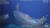 2017년 3월 31일 우루과이 인근 남대서양 해역서 침몰한 스텔라데이지호의 선체 일부 모습. 올 2월 심해수색 전문업체인 미국 오션 인피니티사가 촬영한 사진이다. [사진 스텔라데이지호 가족대책위] 