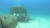 11월 18일 필리핀 보라카이섬 불라복 해안의 하수관이 돌무더기로 막혀 있다. 그 옆에 바다거북 한 마리가 보인다. [사진 박부건]