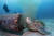 9월 18일 필리핀 보라카이섬 불라복 해안에서 바다거북이 오수가 나오는 하수관 구멍에 머리를 대고 있다. [사진 박부건]