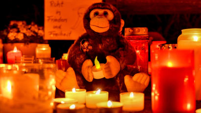 [서소문사진관] 새해 축하 풍등으로 독일 동물원 화재…침팬지,오랑우탄 등 애꿎은 동물 30여마리 죽어 