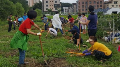 경기도민 1만명에게 텃밭 분양…5곳에 총 6만4339㎡ 텃밭 조성