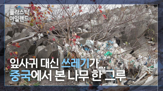 중국산 페트병 뒹구는 해변···플라스틱 쓰레기 종착지 된 섬