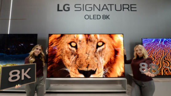 LG “TV가 좋아하는 스포츠도 알아서 추천…40~80인치대 풀 라인업 구축”