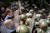 5일(현지시간) 방패를 든 진압 경찰들이 과이도 의장과 야당의원들의 국회 출입을 막아서고 있다. [AFP=연합뉴스]