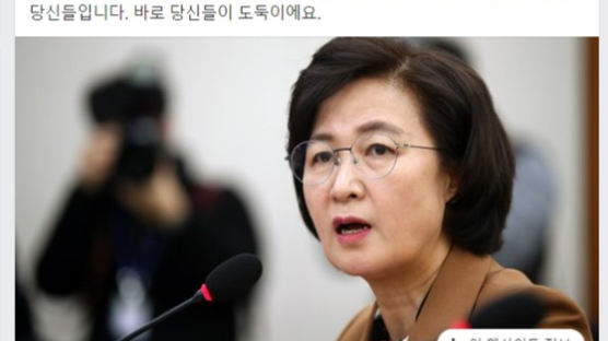 진중권 "추미애, 권력 사유화한 도둑"…진보 우석훈도 "과했다"