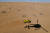  Auto Shell Lubricant Team 소속의 중국인 드라이버 웨이 한과 민 랴오가 헬기 그림자와 함께 사막을 질주하고 있다. 취재용 헬기는 주로 선두권 주자들과 함께 달린다. [REUTERS=연합뉴스]