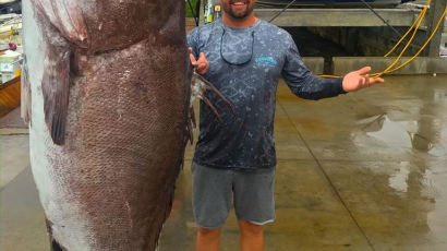 [서소문사진관]미국서 낚시로 잡은 사람보다 큰 물고기...무게 160kg , 나이 50살