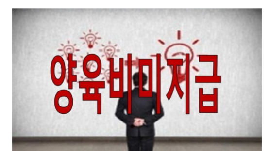 "양육비 안 준 나쁜아빠 신상공개는 공익"…배드파더스 '무죄' 