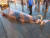 지난 5일 울진 앞바다에서 통발어선 그물에 걸려 죽은 밍크고래를 발견했다. [연합뉴스]