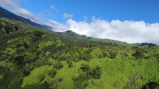 ‘쥬라기 공원’의 현장, 하와이의 가장 깊은 속살을 걷다