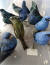 페루 야생동물 보호국(SERFOR)이 15일(현지시간) 공개한 사진. 벨기에 국적의 밀수꾼이 여행가방에 넣어 밀수 하려한 새들. 보호종이다. [사진 SERFOR]