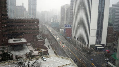 서울에 올 겨울 첫 눈 다운 눈…오전 10시 적설 0.3㎝ 기록