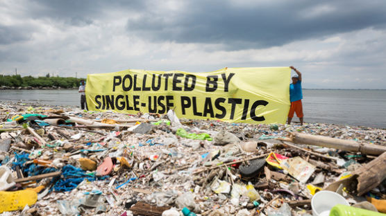 '플라스틱 대국' 중국, 올해 말까지 1회용 플라스틱 빨대 사용 전면 금지