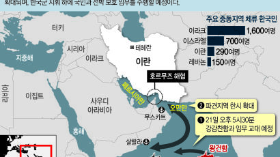 [속보]한국, 호르무즈 파병한다..."청해부대 작전지역 한시적 확대" 