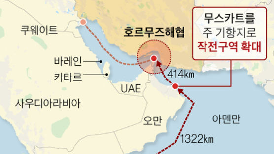 호르무즈 해협, 한국 독자파병