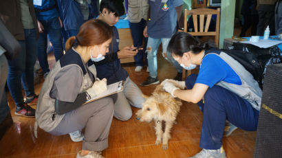 건국대 수의대 학생들, 라오스에서 동물의료 봉사활동