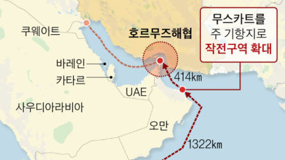 드론·어뢰·미사일…호르무즈 가는 왕건함의 3대 위협