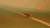 호주 북동부를 휩쓸고 있는 산불 속에서 불에 타서 도망가는 코알라의 모습이 공개됐다. 채널 9이 20일(현지시간) 공개한 영상. [유튜브 캡처]