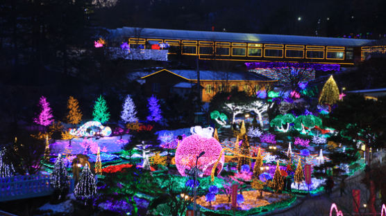 설 명절 연휴 밤, 수도권 수목원은 불빛 정원으로 변신