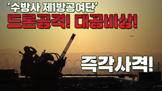 '드론폭탄 1분내 격추'…서울 빌딩에 20㎜ 발칸 숨겼다
