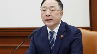 홍남기 "우한폐렴 방역예산 208억 신속집행...예비비 2조 지원"