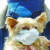 같은 날 평택항 국제여객터미널에서 주인과 함께 마스크를 쓰고 있는 강아지. [뉴시스]