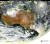지난해 12월 31일 천리안 2A호 특별관측 영상에 포착된 호주 산불. 산불 연기가 바다로 퍼지고 있다. [사진 기상청]