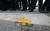 30일 충남 아산 경찰인재개발원 인근 마을 주민들이 현장을 찾은 진영 행정안전부 장관과 이시종 충남지사를 향해 투척한 계란이 바닥에 떨어져 있다. [연합뉴스]