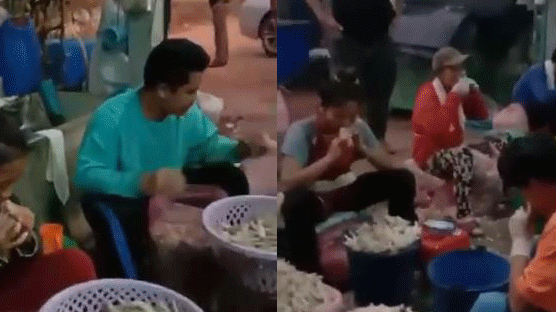‘신종코로나 난리인데’…태국공장서 입으로 생닭뼈 발라내는 영상 논란
