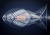 '2019 건축예술'에서 종합 우승작으로 선정된 사진 작품 '물고기(Fish)'. 스페인 발렌시아의 예술 과학 복합단지의 야경이다. [사진 CIOB]