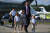 지난해 7월 휴가를 보내고 돌아오는 쿠슈너와 그의 자녀들. [AFP=연합뉴스]