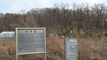 ‘구해줘 홈즈’ 서울 16만 가구…땅이 없다