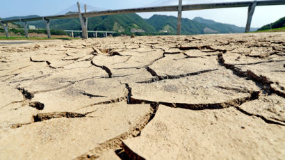 “한국 환경파괴로 100억 달러 경제적 손실”…세계 7번째