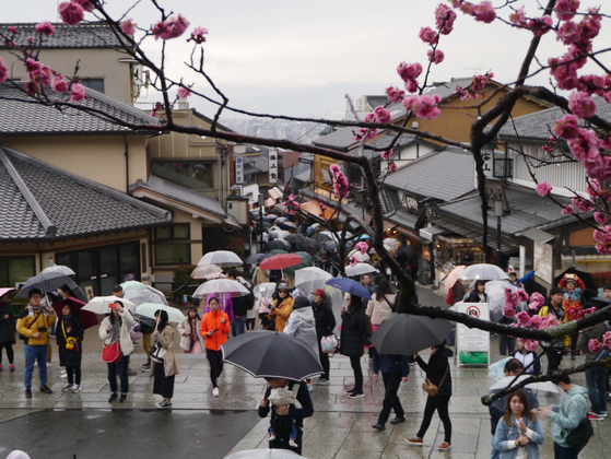 지난해 3월 17일 비가 내린 날인데도 불구하고 관광객들이 일본 교토의 관광 명소 기요미즈데라로 가는 언덕길을 가득 메우고 있다. 대부분이 외국인 관광객들이었다. 서승욱 특파원