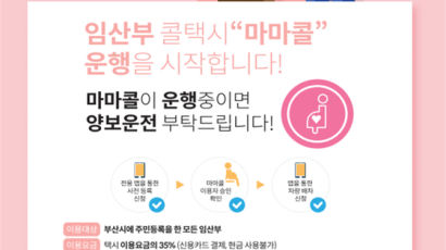 출산장려정책의 진화…부산 임산부 전용 택시 65% 싸게 탄다