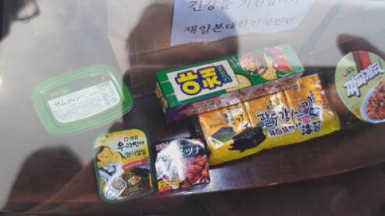 정부, 日크루즈선 한국인 승선자에 필요물품 2차전달…“한국유일”