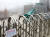 확진자가 22명이 된 경북 칠곡군 가산면 ‘밀알사랑의집’ 정문이 굳게 닫혀 있는 모습. [뉴시스]