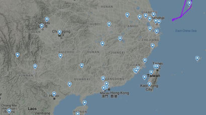 베트남의 일방행보…여객기 회항하고, 한국인 발묶이고